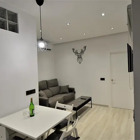 Atico De Lujo En El Centro Historico Appartement