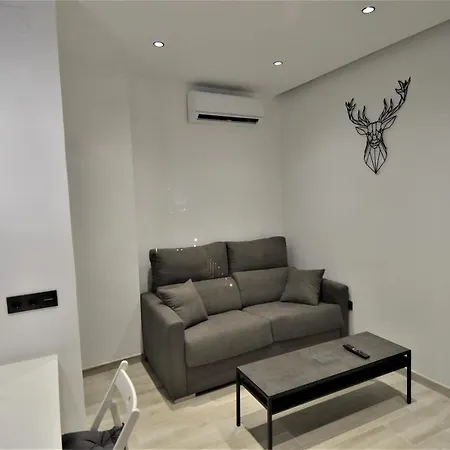 Atico De Lujo En El Centro Historico Appartement *